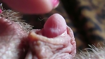 Intense Close-Up Of My Pulsating Clit Head During Hardcore Fucking